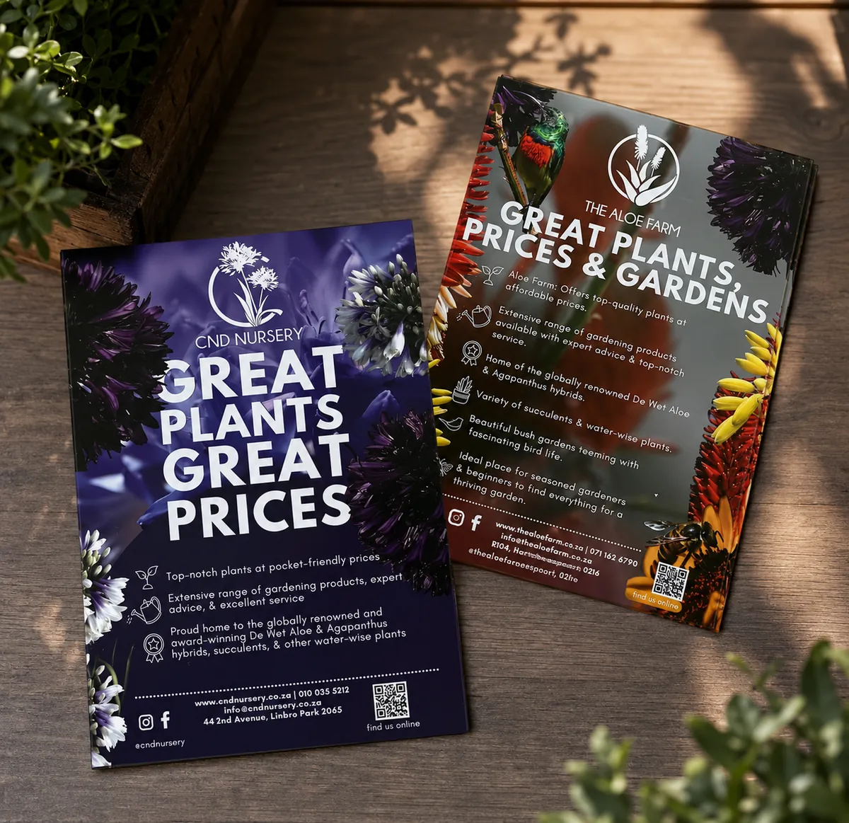CND Nursery and The Aloe Farm - Retail flyer design